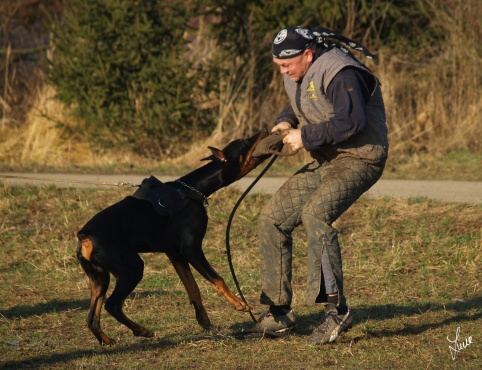 The christmas training 27.12.2006